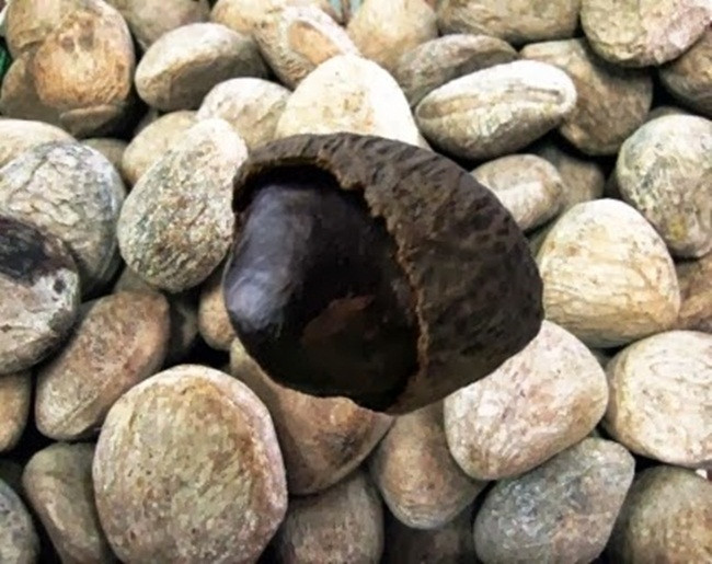 Thu an ngay co the chet, luoc roi vui tro 40 ngay thanh dac san tien trieu-Hinh-4