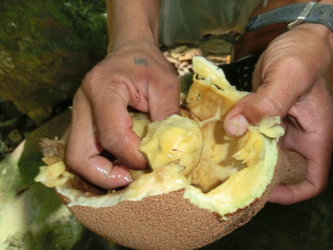 Thu an ngay co the chet, luoc roi vui tro 40 ngay thanh dac san tien trieu-Hinh-8