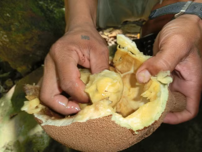 Thu an ngay co the chet, luoc roi vui tro 40 ngay thanh dac san tien trieu-Hinh-8