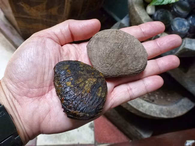 Thu an ngay co the chet, luoc roi vui tro 40 ngay thanh dac san tien trieu-Hinh-9