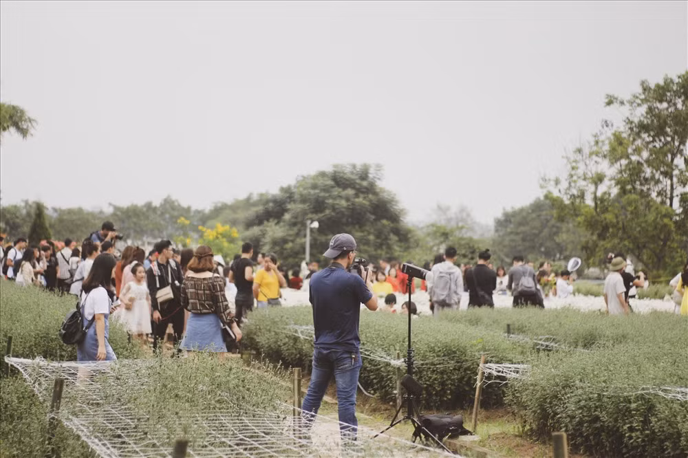 Đáng chú ý, lượng người tại vườn hoa lúc nào cũng lên đến hàng trăm người, thậm chí là hàng nghìn người vào dịp cuối tuần. Ảnh: Lao động.
