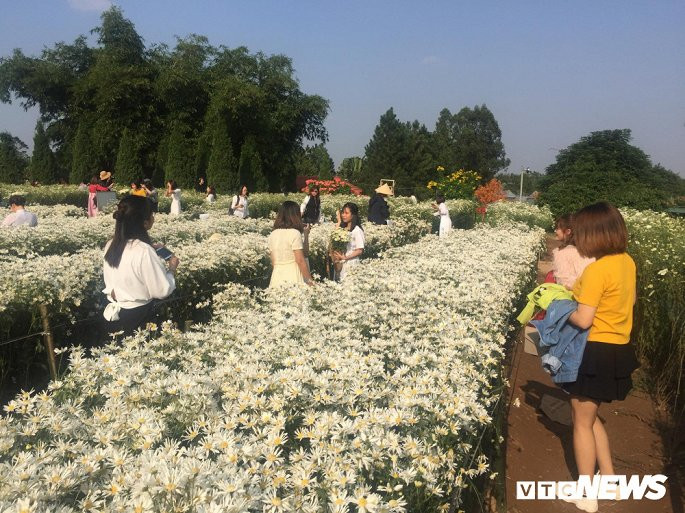Những bó hoa tại đây có giá lên tới 100.000 đồng/bó, vòng hoa 200.000 đồng/vòng. Ảnh: VTC.