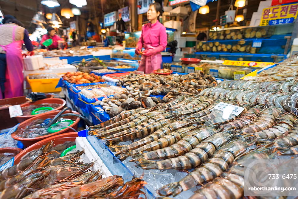 Noryangjin là nơi tập trung tất cả các loại hải sản tươi ngon của thành phố như tôm, cua, cá biển, các loại ốc, bạch tuộc và đặc biệt loại nào cũng rất to. Ảnh: Robert Harding.