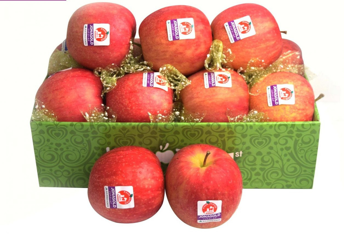 Nhờ được hấp thụ ánh nắng mặt trời vào ban ngày và sử dụng những tấm phản quang nên táo có màu sắc đẹp và đều khắp quả. Ảnh: Klever Fruits.