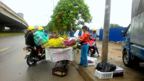 Người bán dọc tuyến phố này đều khẳng định đây là nho Ninh Thuận, chín đều, ngon và ngọt lịm. Ảnh: Baodatviet.