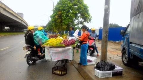 Người bán dọc tuyến phố này đều khẳng định đây là nho Ninh Thuận, chín đều, ngon và ngọt lịm. Ảnh: Baodatviet.