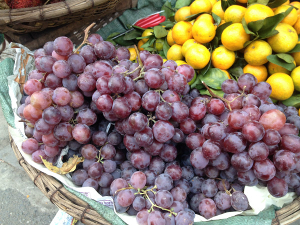 Trong khi đó, giá nho đỏ và nho xanh tại Ninh Thuận khi mua tại vườn dao động từ 40.000 - 60.000/kg, chưa kể chi phí vận chuyển đi các tỉnh. Ảnh: Nhadautu.