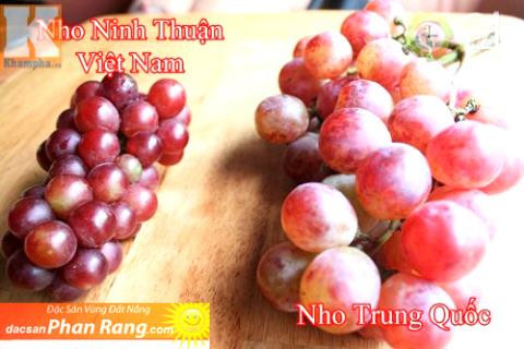 Nho đỏ Ninh thuận hình cầu, trái to khoảng đầu ngón tay cái, vỏ nho rất mỏng, quả chín có màu đỏ tươi đến đỏ đậm, có vị ngọt hài hòa với vị chua nhẹ. Ảnh Internet