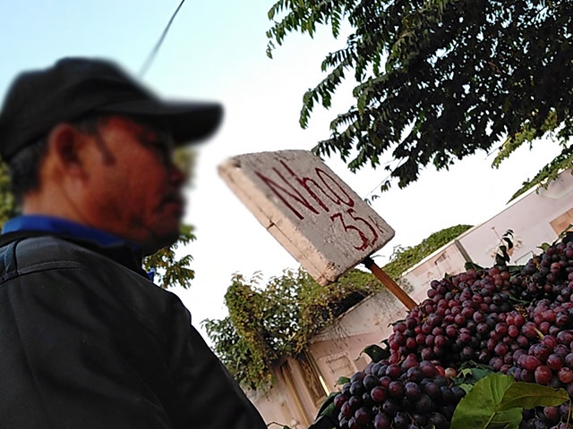 Đáng chú ý, nho Ninh Thuận ở đây chỉ có giá 35.000 đồng/kg. Ảnh: Dân Việt.