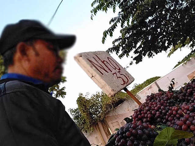 Đáng chú ý, nho Ninh Thuận ở đây chỉ có giá 35.000 đồng/kg. Ảnh: Dân Việt.