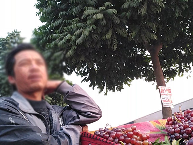 Tuy nhiên, theo tìm hiểu của PV Báo Dân Việt thì một đầu mối cung cấp loại nho này cho rằng đó toàn là hàng Trung Quốc. Ảnh: Dân Việt.