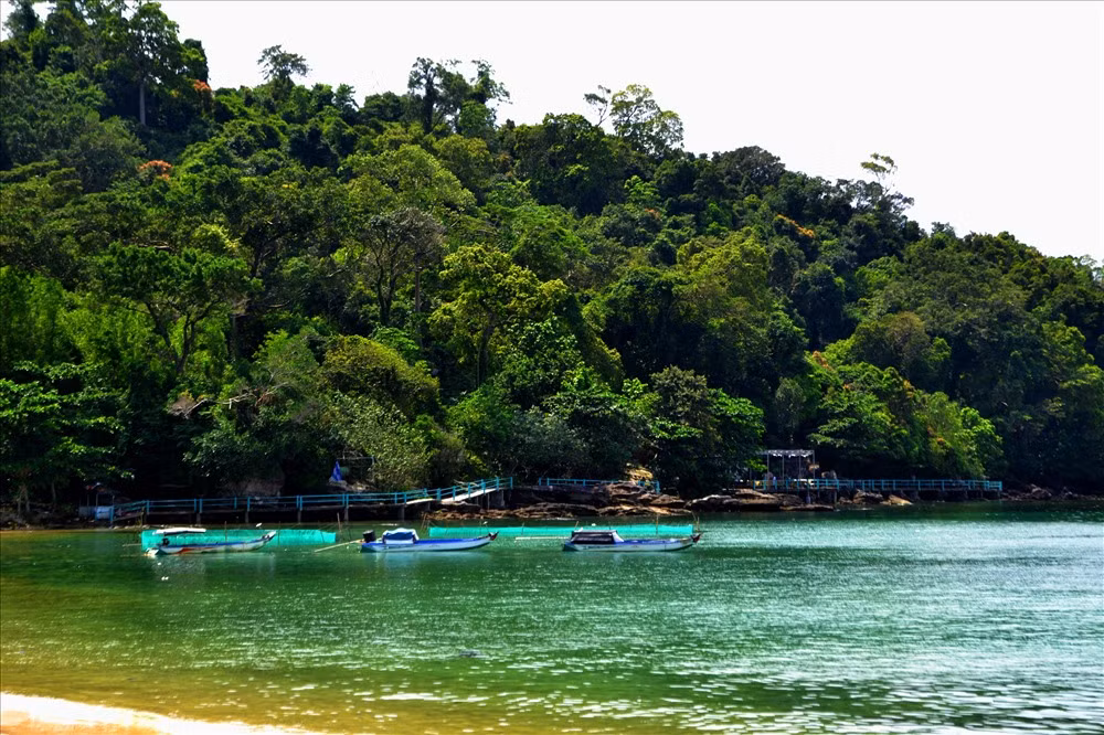 Resort Nam Phuong lan chiem vuon Quoc gia Phu Quoc: Hop thuc hoa sai pham?-Hinh-2