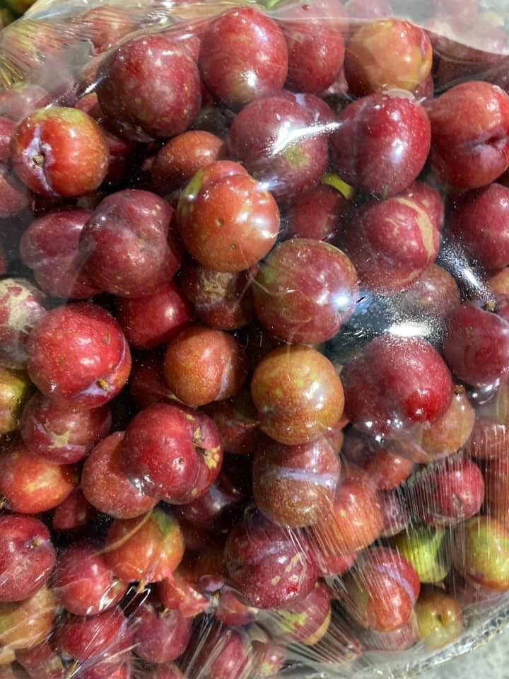 Cũng theo chị Hoa, giá mận nhập về cao, quả nhỏ, không đẹp nhưng lại được nhiều người ưa chuộng. Thậm chí, có khách hàng bỏ ra vài trăm nghìn để mua mấy kg mận ăn cho đỡ thèm.