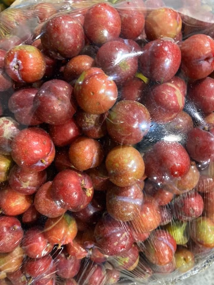 Cũng theo chị Hoa, giá mận nhập về cao, quả nhỏ, không đẹp nhưng lại được nhiều người ưa chuộng. Thậm chí, có khách hàng bỏ ra vài trăm nghìn để mua mấy kg mận ăn cho đỡ thèm.