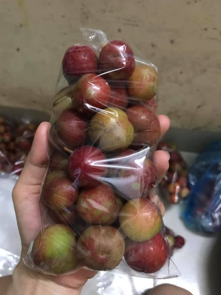 Tương tự, chị Hoa (Thanh Trì, Hà Nội) cũng bán mận Mộc Châu trái mùa từ khoảng mửa tháng nay.
