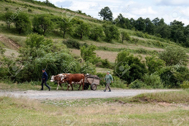 Trong hơn 20 năm qua, không có ai báo cáo hay kêu ca về việc bị mất cắp số tiền bên trong túi.