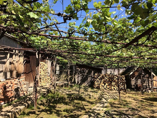 Cửa hàng duy nhất của làng đã đóng cửa từ năm 1989 và mọi người phải ngóng người giao bánh mì đến từ cách đó 20km.