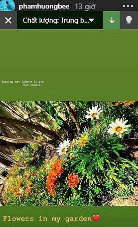 Ngoài trái cây, Hoa hậu Phạm Hương còn trồng cả hoa trong vườn. Ảnh: FBNV.