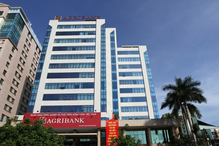 Vietcombank, Agribank se bi kiem toan... suc khoe tai chinh the nao?-Hinh-2