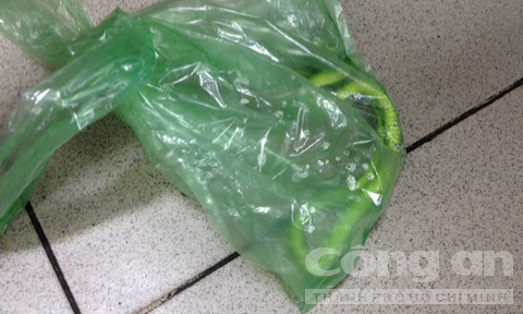 Bình Dương: Hãi hùng rắn lục núp dưới tủ cắn người - Hình 2 Binh Duong: Hai hung ran luc nup duoi tu can nguoi-Hinh-2