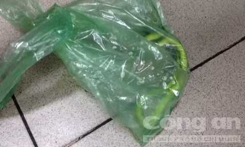 Bình Dương: Hãi hùng rắn lục núp dưới tủ cắn người - Hình 2 Binh Duong: Hai hung ran luc nup duoi tu can nguoi-Hinh-2