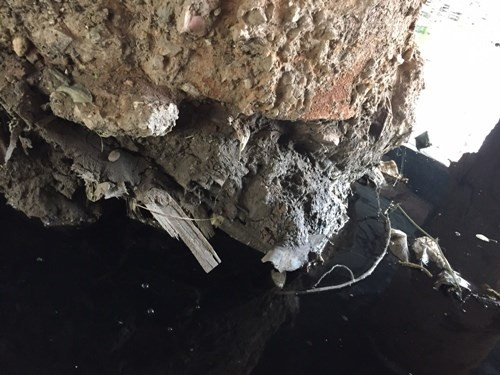 Nghi van xay cau 40 ty dong “cot go” giua Thu do-Hinh-3