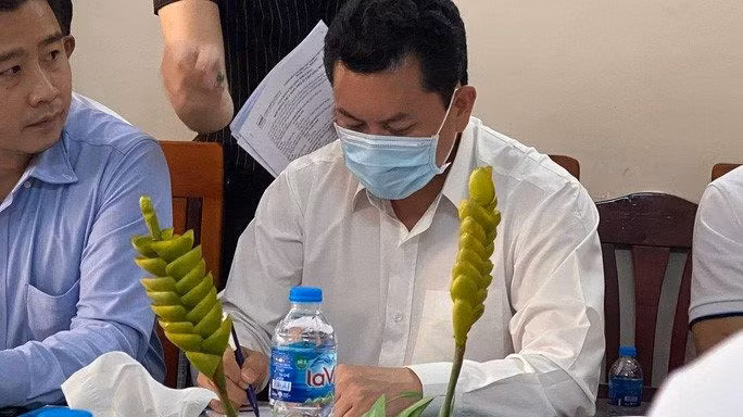 Vu dai gia Dung “lo voi” - Vo Hoang Yen: Dau hoi be boi tu thien?-Hinh-5