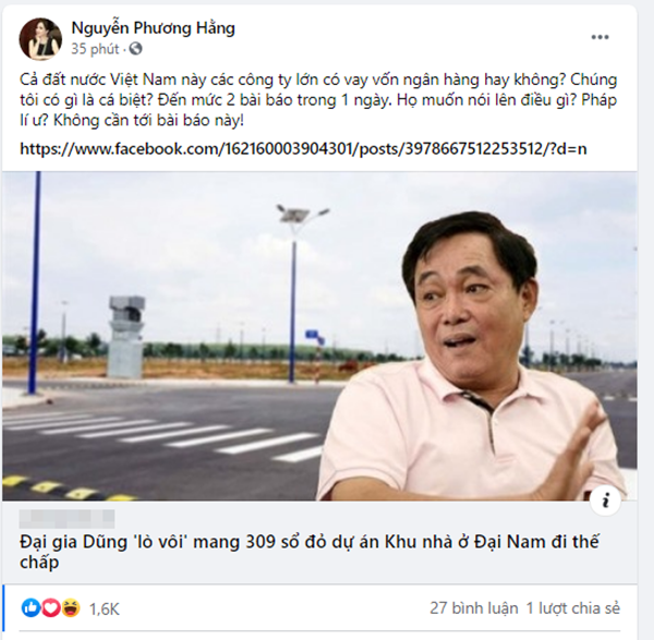 309 so do du an khu nha o Dai Nam the chap: Vo dai gia Dung “lo voi” noi gi?