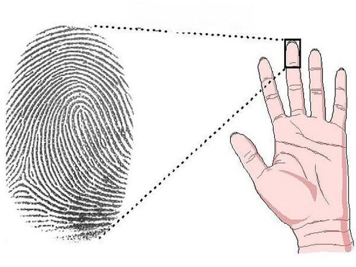 Nhin vao so hoa tay biet ngay tinh cach-Hinh-2