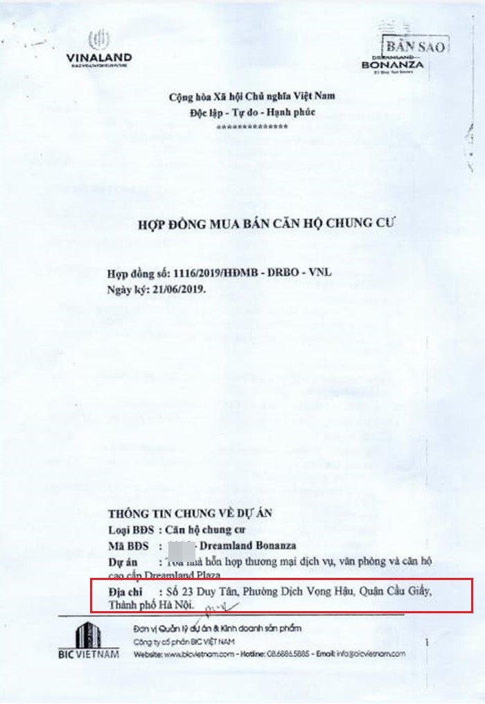 Chu du an Dreamland Bonanza bi cu dan to lua dao thua lo trien mien-Hinh-2