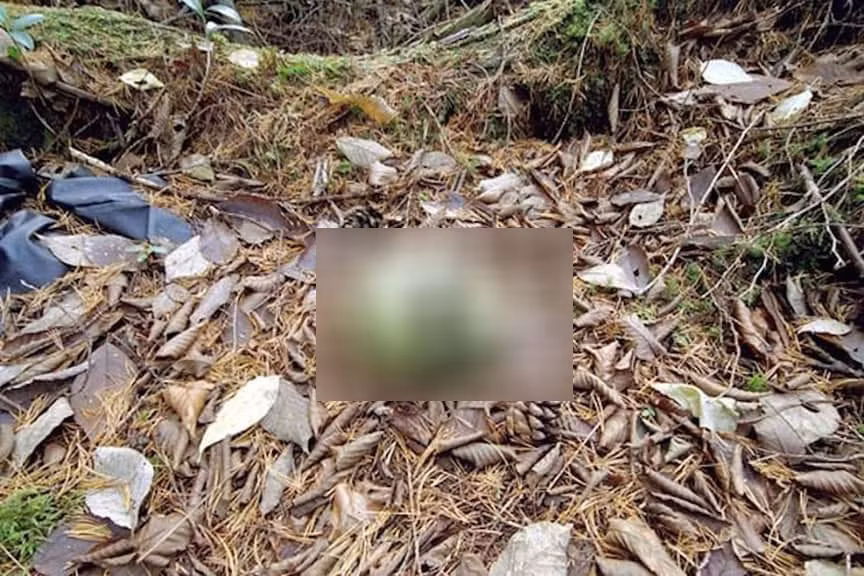 Khu rừng Aokigahara (Biển Cây) ở Nhật Bản còn được biết đến là khu rừng tự sát. Được biết, trong 65 qua, hơn 500 người đã tìm đến khu rừng rậm rạp này để tự sát. Cảnh sát đã dựng nhiều biển báo ở các lối đi trong khu rừng với những lời nhắn như “Mạng sống của bạn là món quà quý giá đối với cha mẹ bạn”.