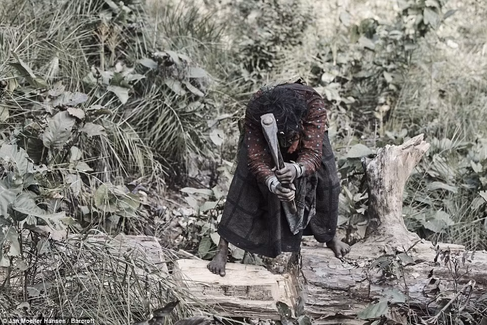 Người phụ nữ chân trần đứng bổ củi trong khu rừng rậm ở Nepal.