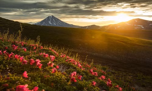  Bán đảo Kamchatka sở hữu vẻ đẹp tuyệt vời của thiên nhiên hoang dã, với nhiều núi lửa cùng hệ động vật đa dạng.