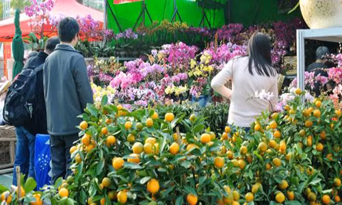 Nguoi dan Hong Kong ron rang don Tet