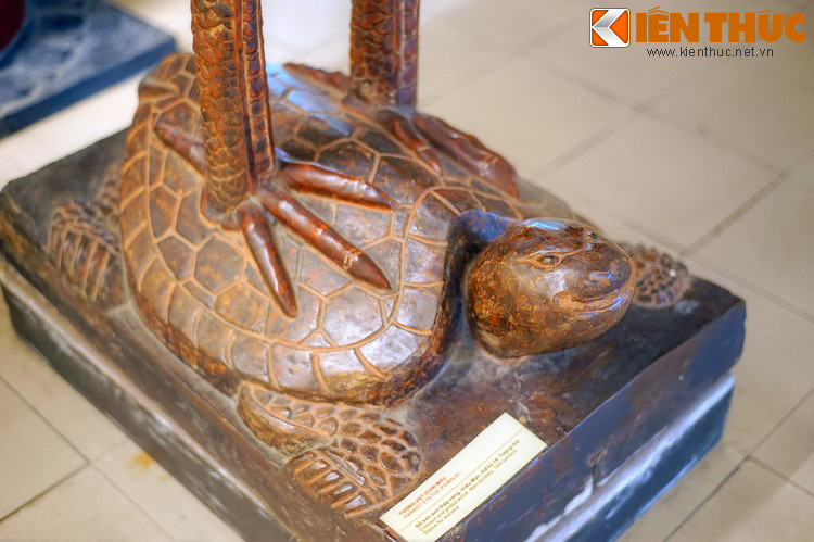 Đến năm 1427, cuộc khởi nghĩa Lam Sơn giành thắng lợi, Lê Lợi lên ngôi vua, lập ra nhà Hậu Lê. Nhớ lại công lao của con vẹt khi xưa, ông đã lệnh cho tạc tượng rùa đội vẹt để thờ.