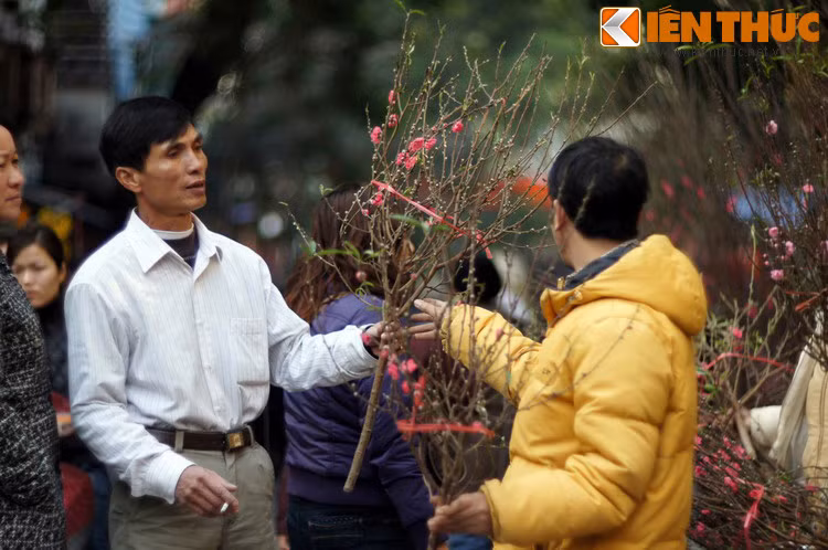 Từ đó, hàng năm, cứ mỗi dịp Tết đến, mọi người lại đem những cành đào về cắm trong nhà để trừ ma quỷ và dán hình thần linh trước nhà. Về sau, dù ma quỷ không còn nhưng việc cắm hoa đào đã trở thành lệ.