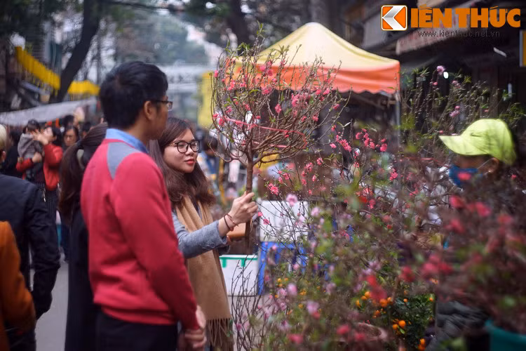 Tích xưa kể rằng, ở phía Đông núi Độ Sóc có một cây hoa đào cổ thụ không biết đã tồn tại đến mấy trăm năm. Cành lá của cây to lớn khác thường, bóng cây che phủ cả một vùng rộng lớn.