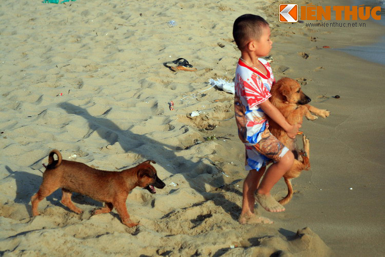 Trong một lần đi cướp tàu buôn trên vịnh Thái Lan, do gặp bão, bọn hải tặc phải tấp vào Phú Quốc trú ẩn. Được lên bờ sau hàng tháng quanh quẩn trên tàu, nhiều con chó cuồng chân chạy vào rừng và không trở lại. Từ đó bầy chó sinh sôi nảy nở trên đảo, tạo thành giống chó Phú Quốc lừng danh.