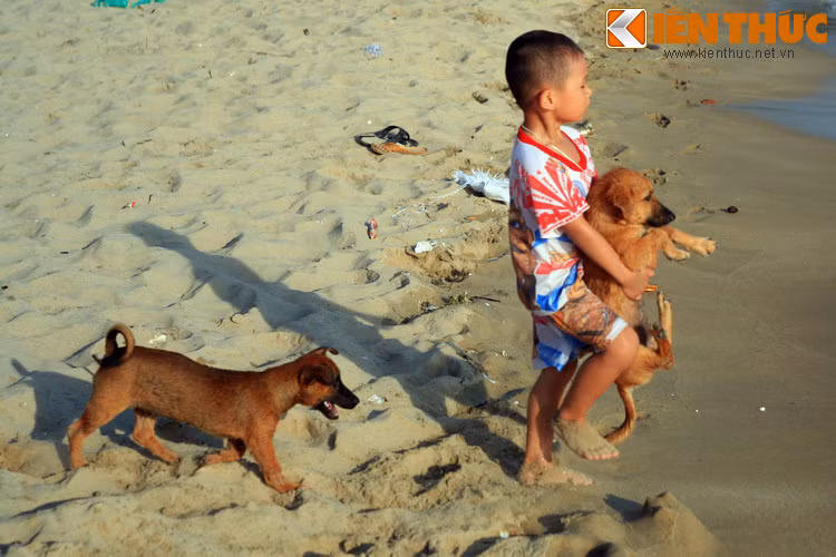 Trong một lần đi cướp tàu buôn trên vịnh Thái Lan, do gặp bão, bọn hải tặc phải tấp vào Phú Quốc trú ẩn. Được lên bờ sau hàng tháng quanh quẩn trên tàu, nhiều con chó cuồng chân chạy vào rừng và không trở lại. Từ đó bầy chó sinh sôi nảy nở trên đảo, tạo thành giống chó Phú Quốc lừng danh.