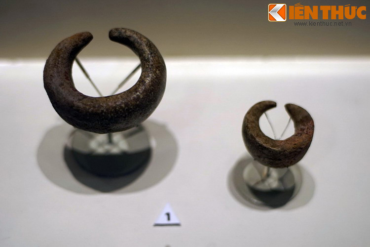 Khuyên tai bằng gốm của văn hóa Hoa Lộc, khai quật ở di chỉ Hoa Lộc (Thanh Hóa). Tại Việt Nam, các hiện vật gốm thời tiền sử được phát hiện trên cả ba miền với số lượng khá lớn, đa dạng về kiểu hình.