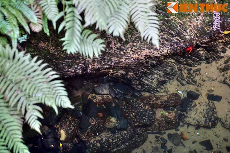 Bên trong lòng chiếc giếng cạnh đình Mông Phụ. Về mặt kiến trúc, những chiếc giếng ở Đường Lâm không phải kè thành như giếng ở các vùng đất khác do loại đá dưới lòng đất rất cứng. Giếng thường rộng từ 3-5m, sâu trên 10m.