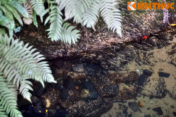 Bên trong lòng chiếc giếng cạnh đình Mông Phụ. Về mặt kiến trúc, những chiếc giếng ở Đường Lâm không phải kè thành như giếng ở các vùng đất khác do loại đá dưới lòng đất rất cứng. Giếng thường rộng từ 3-5m, sâu trên 10m.