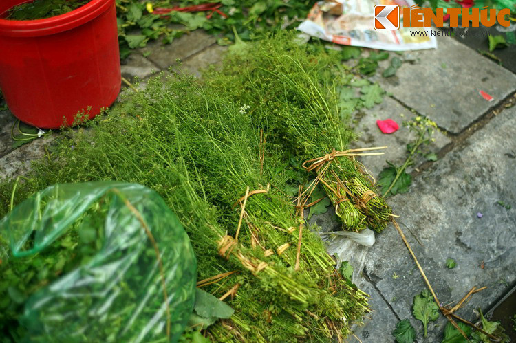 Nước mùi già có hương thơm thanh khiết, không chỉ làm sạch cơ thể mà còn gột rửa tinh thần, giúp con người cảm thấy sảng khoái, dễ chịu.