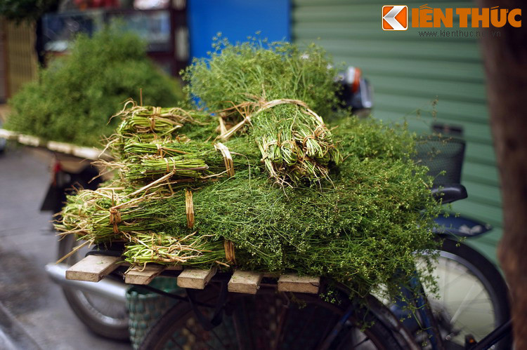 Mỗi khi đến ngày 30 Tết, các bó mùi già được bày bán khắp các phố phường Hà Nội, làm dậy lên một mùi hương đặc trưng chỉ có vào ngày Tết cổ truyền ở mảnh đất Hà thành.