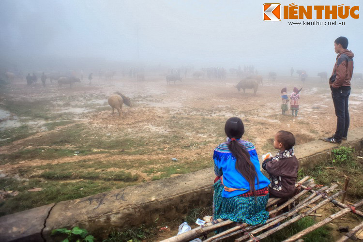 Đối với du khách đến từ miền xuôi, chợ trâu Sín Chéng là một địa điểm tham quan vô cùng lý thú, chỉ cần trải nghiệm một lần sẽ nhớ mãi không quên...