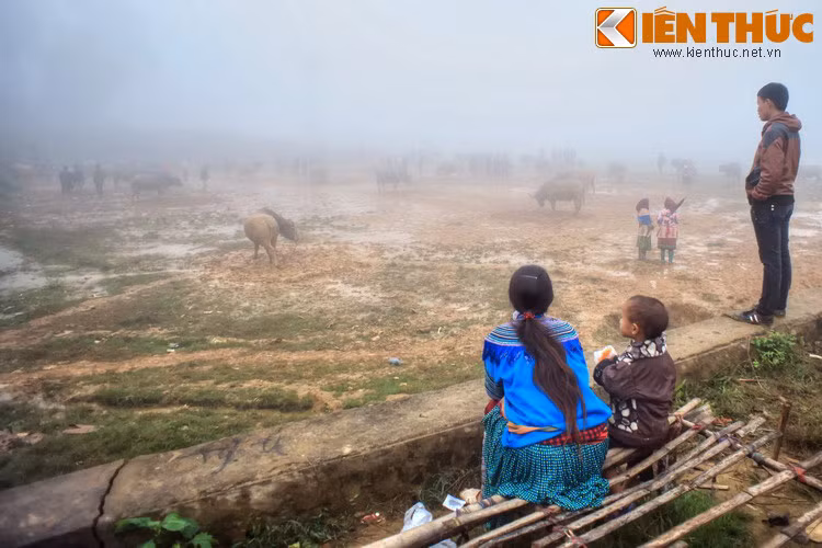 Đối với du khách đến từ miền xuôi, chợ trâu Sín Chéng là một địa điểm tham quan vô cùng lý thú, chỉ cần trải nghiệm một lần sẽ nhớ mãi không quên...