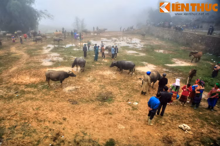 Không chỉ mang tầm quan trọng về kinh tế, phiên chợ đặc biệt này còn là nơi lưu giữ những giá trị văn hoá độc đáo của đồng bào dân tộc nơi địa đầu tổ quốc.