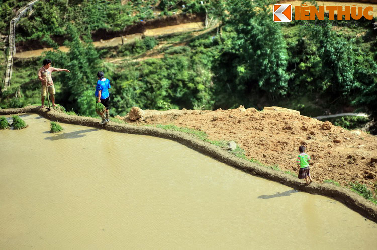 Theo tiếng H'Mông thì "Sa Pả "có nghĩa là "bãi cát". Sở dĩ có tên gọi như vậy bởi trước đây vùng đất này có một bãi cát rộng, bà con các dân tộc quây quần lại họp chợ. Ảnh: Trên bờ ruộng bậc thang Sa Pa.