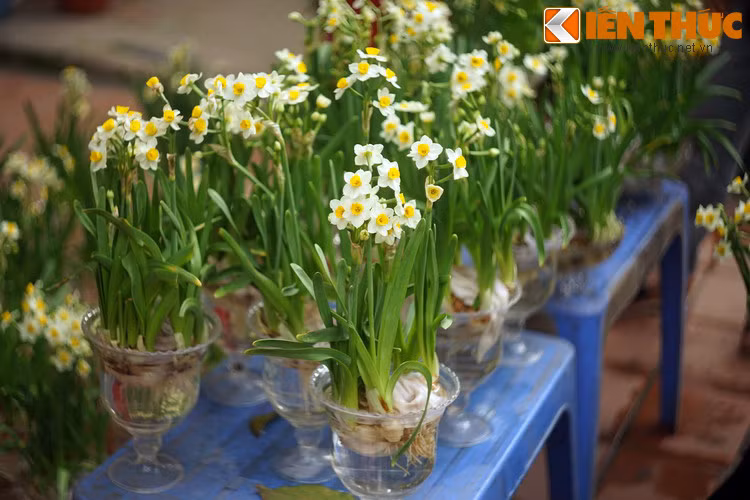 Người em út vừa thương cha, vừa buồn vì các anh đối xử tệ bạc. Đang ngồi khóc một mình trước mảnh đất mình được chia thì người em bỗng thấy một bà tiên từ mặt ao gần đó hiện lên.