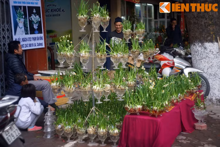 Ly ky su tich ve hoa thuy tien ngay Tet Viet